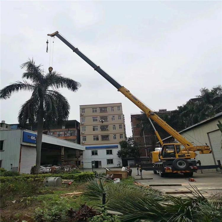 点军汽车吊出租多少钱？全面解析与市场行情