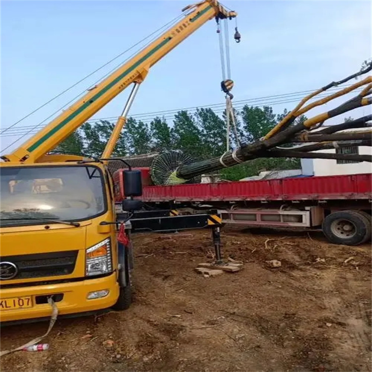 点军100吨吊车租赁费用怎么算？3大关键因素+省钱技巧全解析